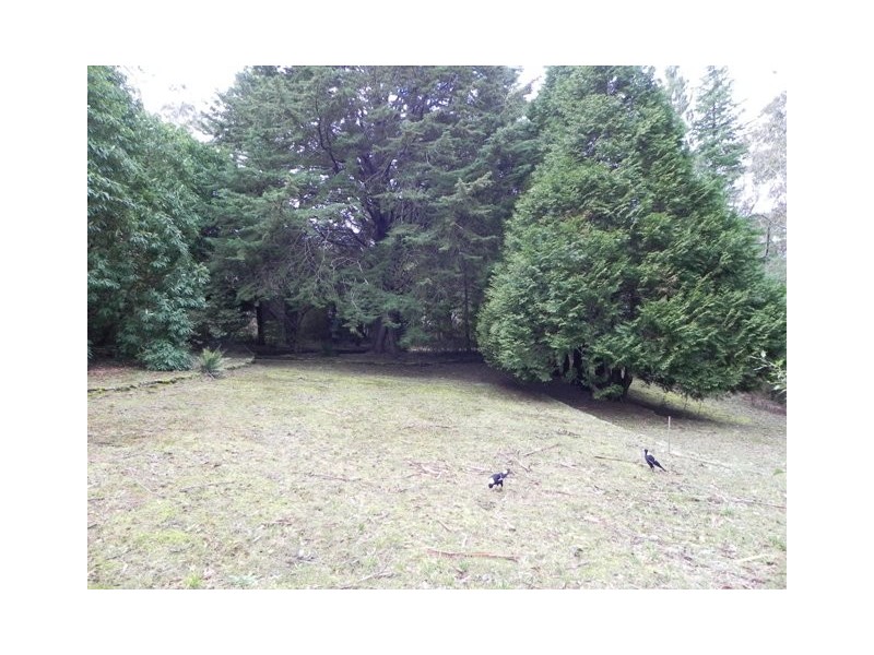 Wentworth Falls NSW 2782