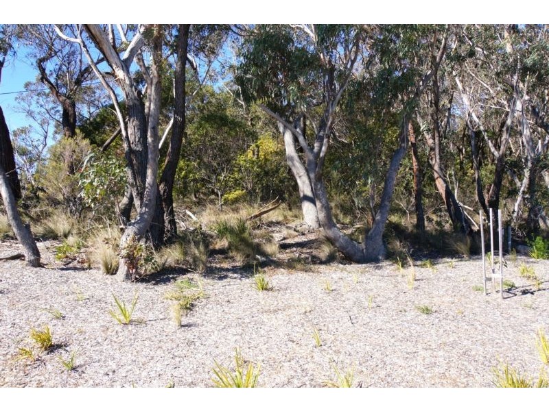 Wentworth Falls NSW 2782