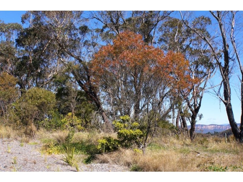 Wentworth Falls NSW 2782