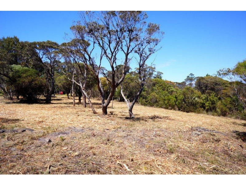 Wentworth Falls NSW 2782