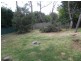 37 Panorama Crescent, Wentworth Falls NSW 2782