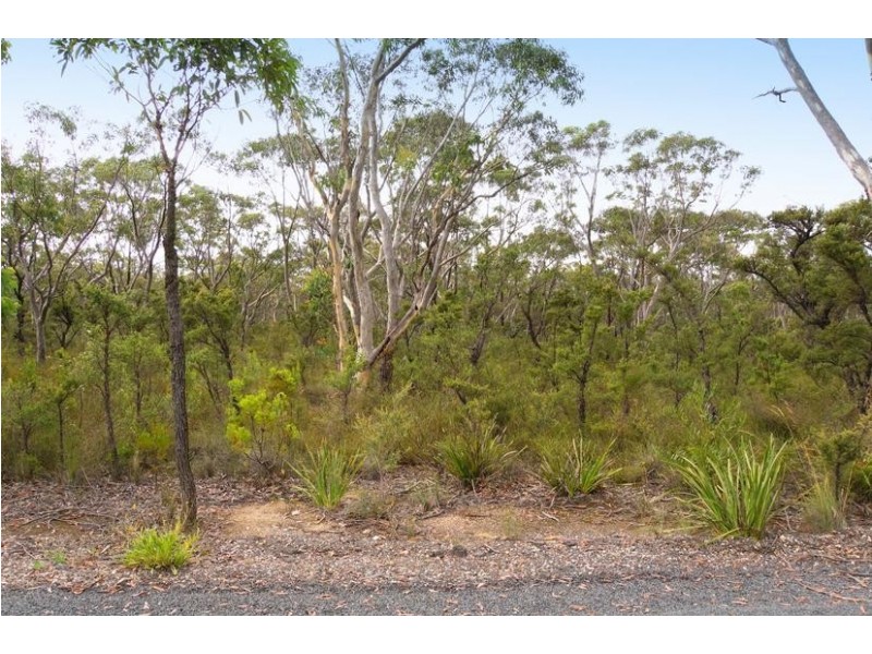 Wentworth Falls NSW 2782