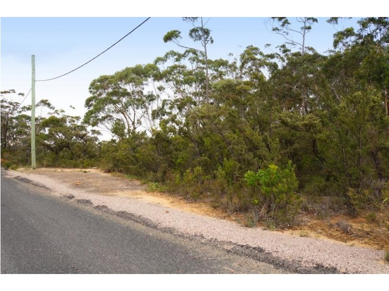 Wentworth Falls NSW 2782