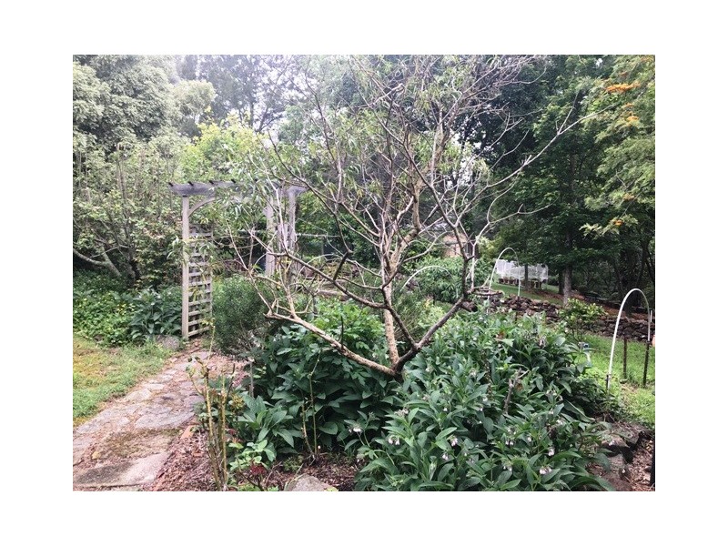 94 Valley Road, Hazelbrook NSW 2779