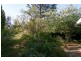 322 Blaxland Road, Wentworth Falls NSW 2782