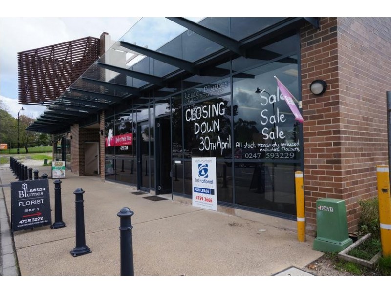 1/11 Staples Crescent, Lawson NSW 2783