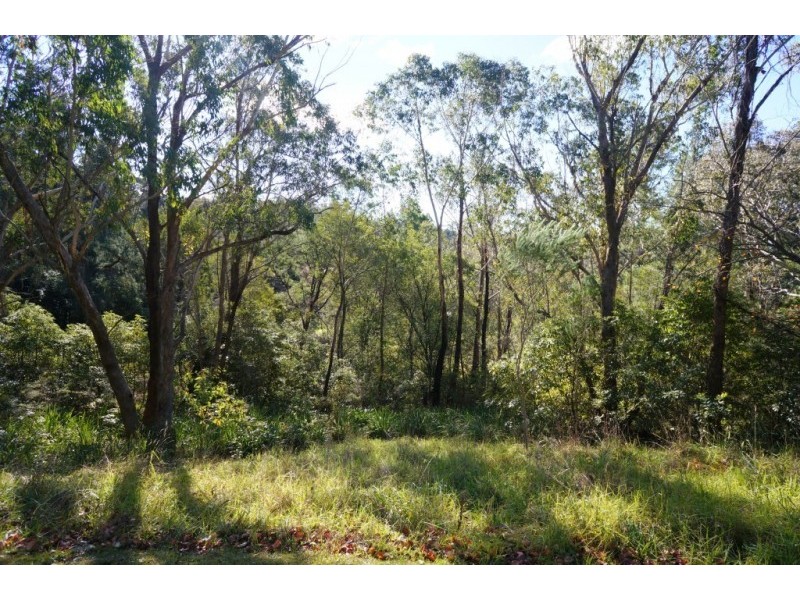 54 Luchetti Avenue, Hazelbrook NSW 2779