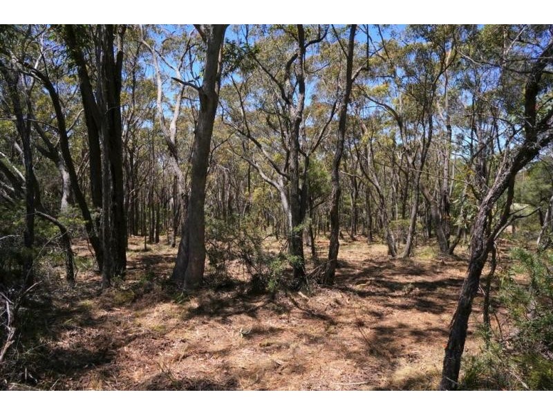 1-5 Duperry Street, Wentworth Falls NSW 2782