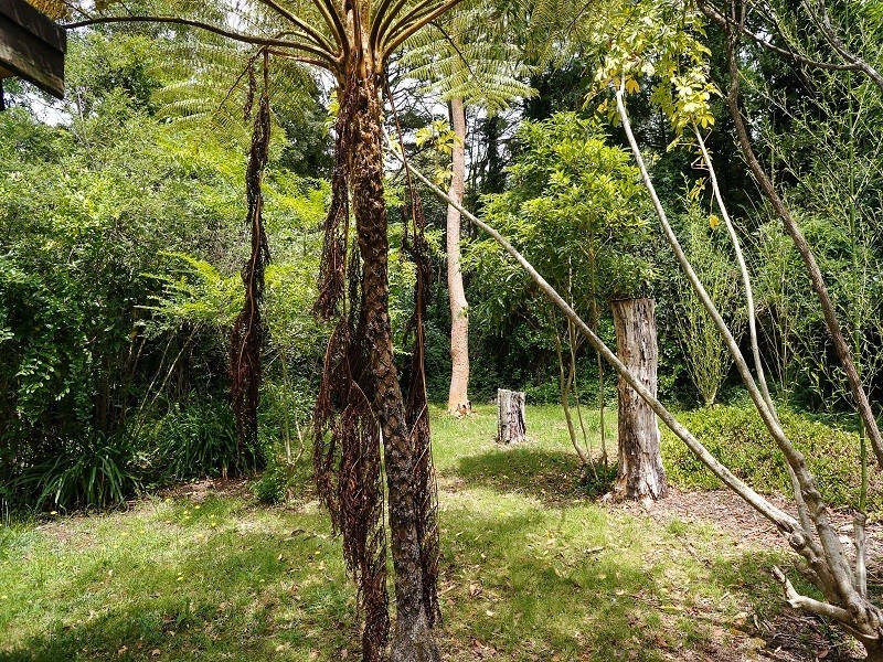 40 Sayers Street, Lawson NSW 2783