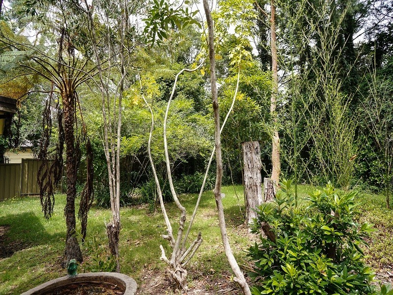 40 Sayers Street, Lawson NSW 2783