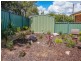 10 Miller Street, Wentworth Falls NSW 2782