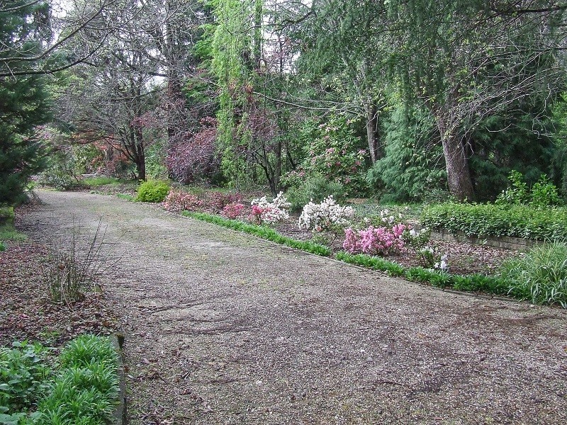 65 Park Road, Hazelbrook NSW 2779