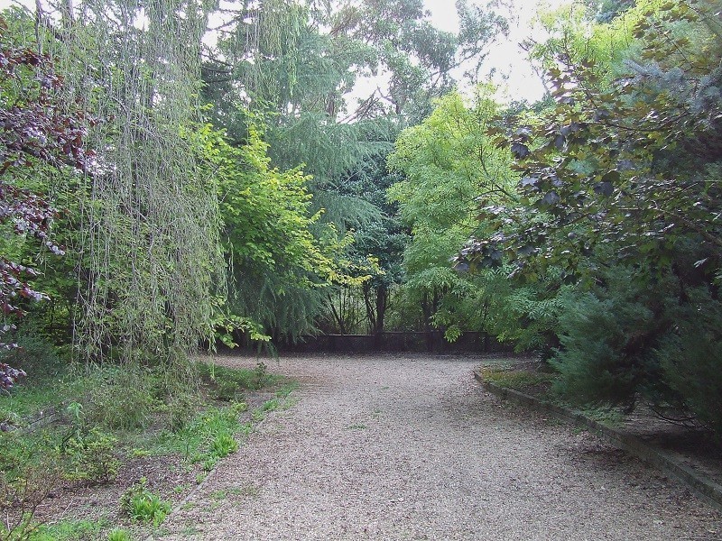 65 Park Road, Hazelbrook NSW 2779