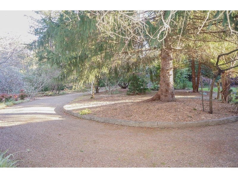 65 Park Road, Hazelbrook NSW 2779