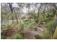 61 Bullaburra Road, Bullaburra NSW 2784
