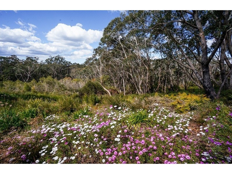 76 View Street, Lawson NSW 2783