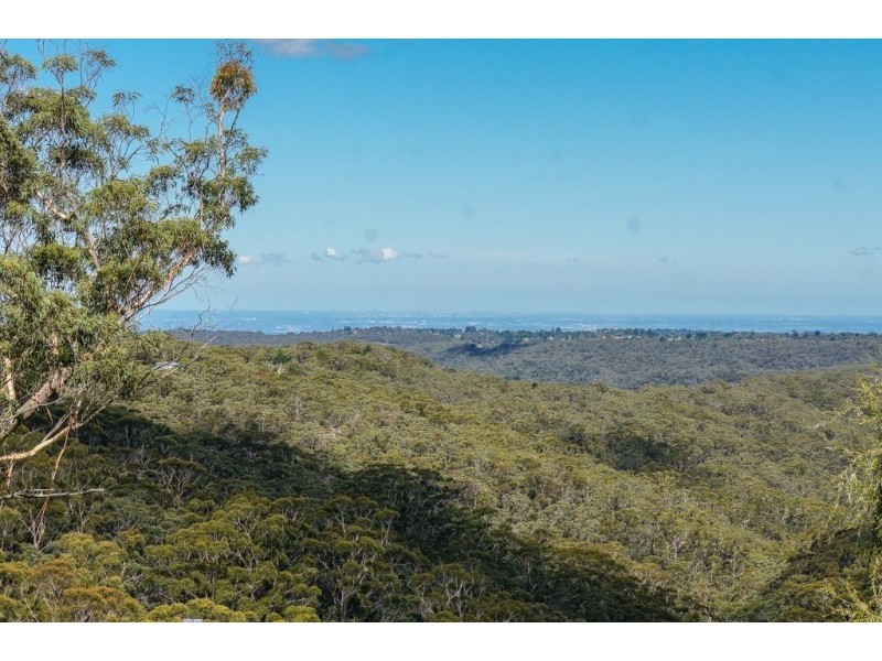 37-39 Henderson Road, Wentworth Falls NSW 2782