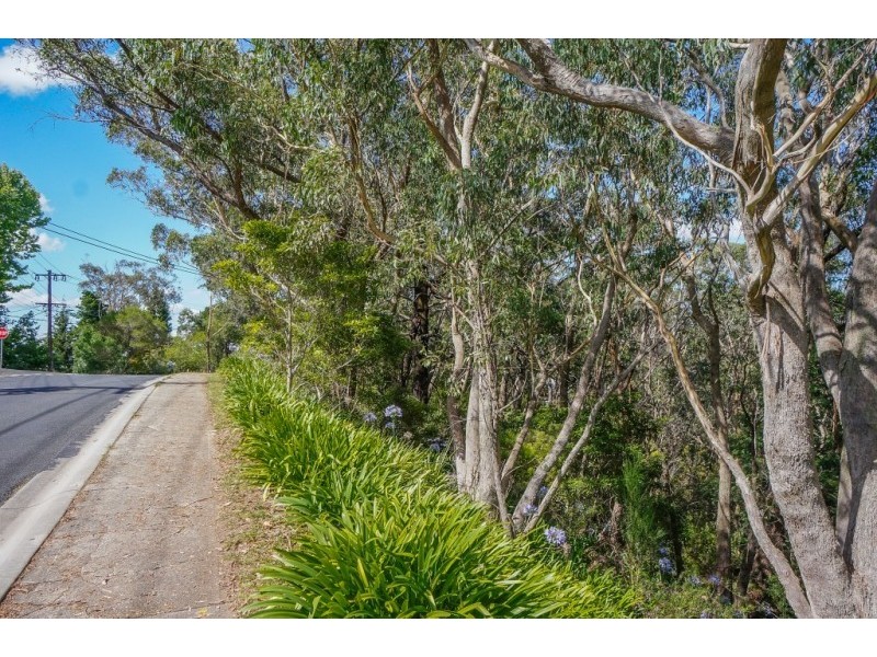 37-39 Henderson Road, Wentworth Falls NSW 2782