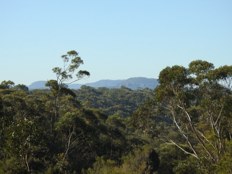 23-25 Clarendon Street, Wentworth Falls NSW 2782