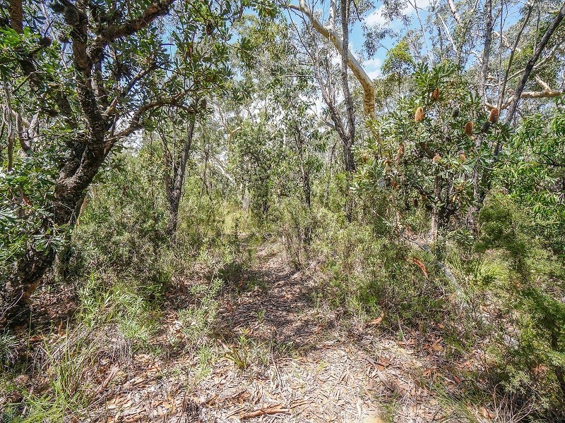 23-25 Clarendon Street, Wentworth Falls NSW 2782