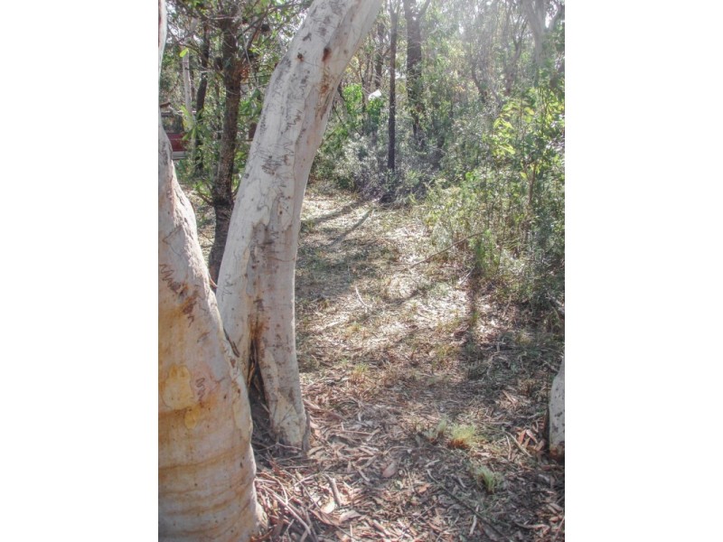 23-25 Clarendon Street, Wentworth Falls NSW 2782