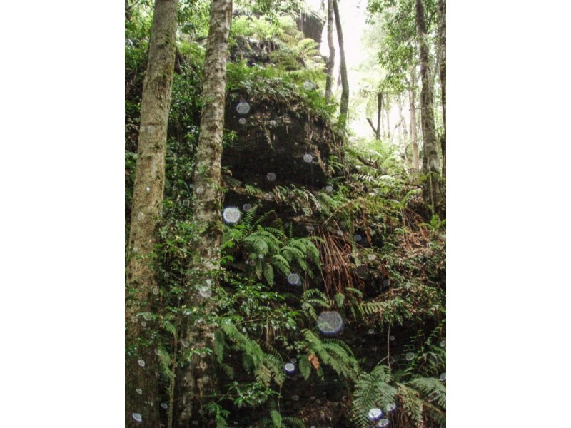 23-25 Clarendon Street, Wentworth Falls NSW 2782