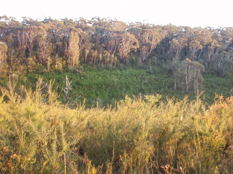 23-25 Clarendon Street, Wentworth Falls NSW 2782