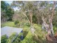 50 Terrace Falls Raod, Hazelbrook NSW 2779