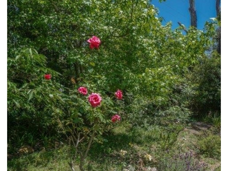 41 Loftus Street, Lawson NSW 2783