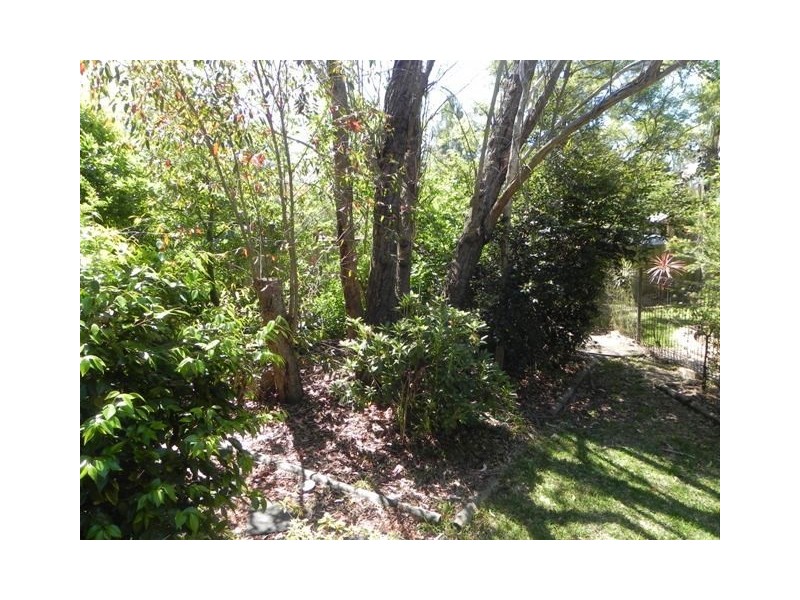 53 Talbot Rd, Hazelbrook NSW 2779