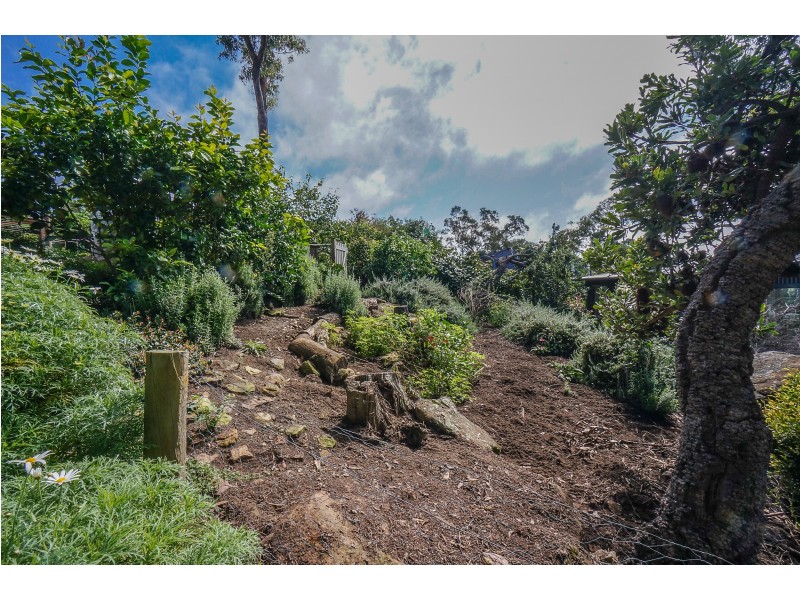 15A Taylor Road, Woodford NSW 2778