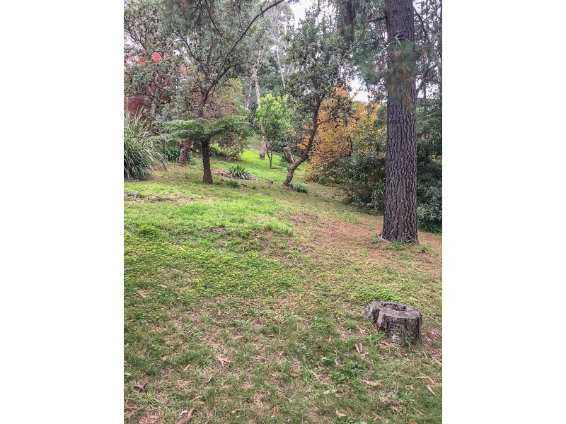 37B Ridge Street, Lawson NSW 2783