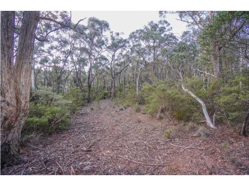 176 Victoria Street, Mount Victoria NSW 2786