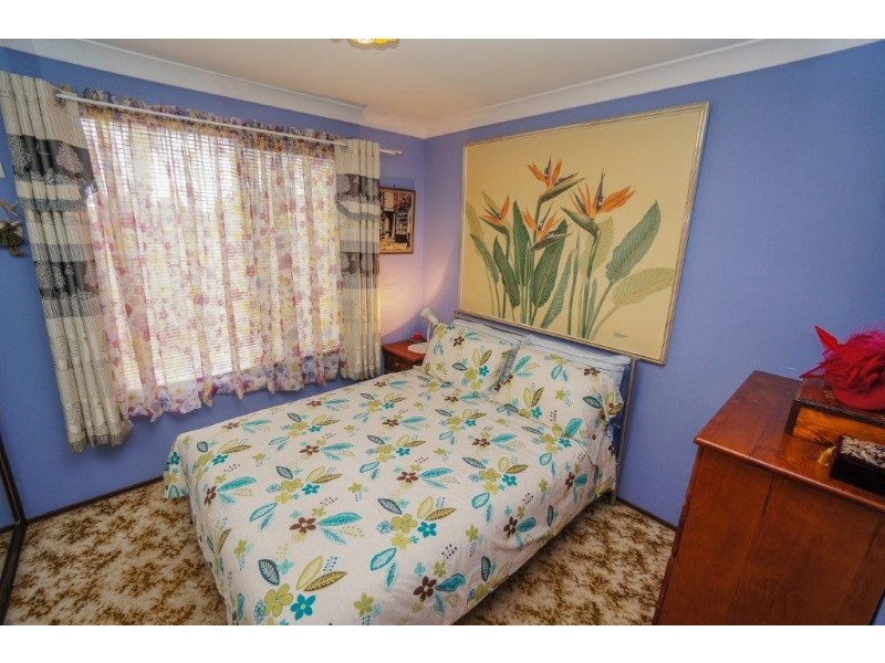 59 Alexander Avenue, Hazelbrook NSW 2779