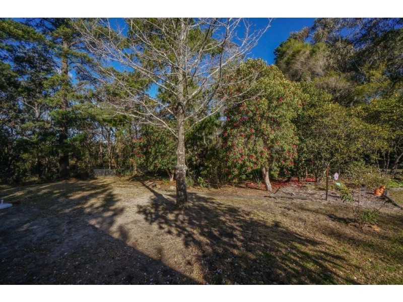 59 Alexander Avenue, Hazelbrook NSW 2779