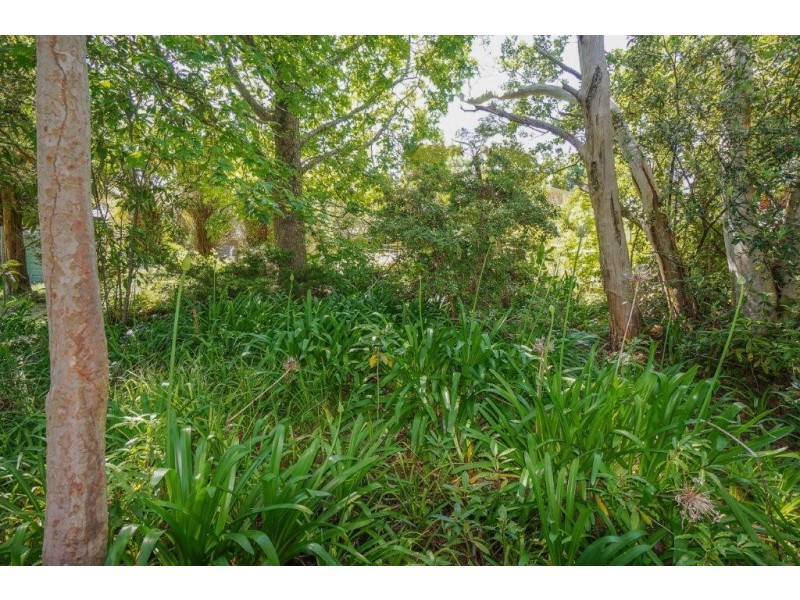 38 Wallis Street, Lawson NSW 2783