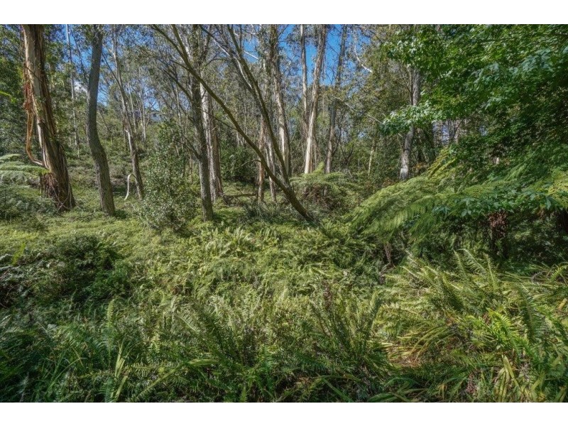 63 Mount Street, Leura NSW 2780