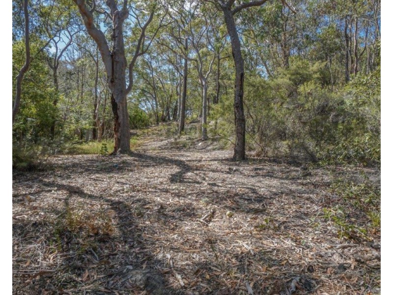 121 Davies Avenue, Springwood NSW 2777