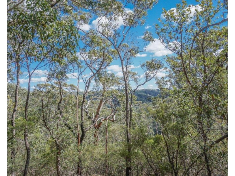 121 Davies Avenue, Springwood NSW 2777