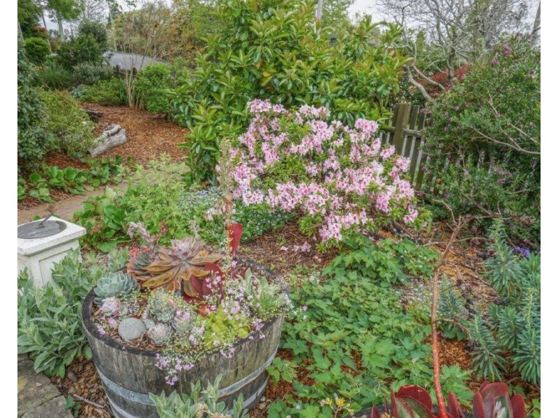 17 Parker Street, Woodford NSW 2778