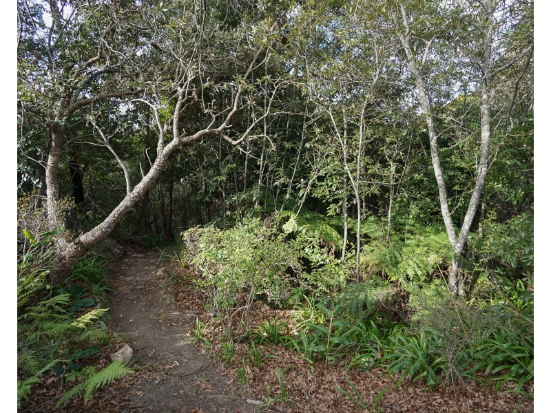 55-59 Queens road, Lawson NSW 2783