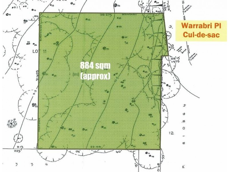 3 Warrabri Place, West Pymble NSW 2073