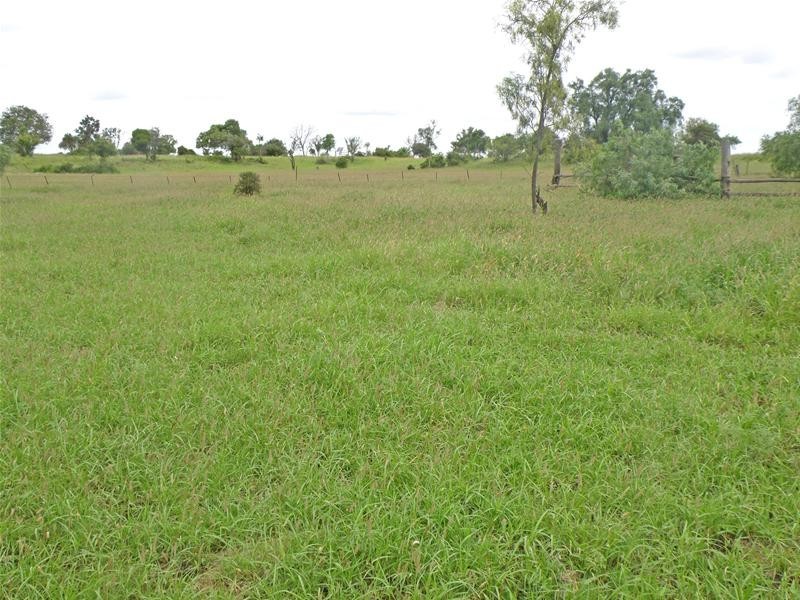 Lawgi Dawes QLD 4716