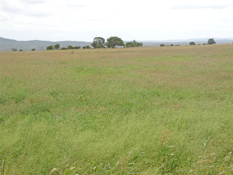 Lawgi Dawes QLD 4716