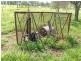Thangool QLD 4716