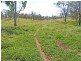 Thangool QLD 4716