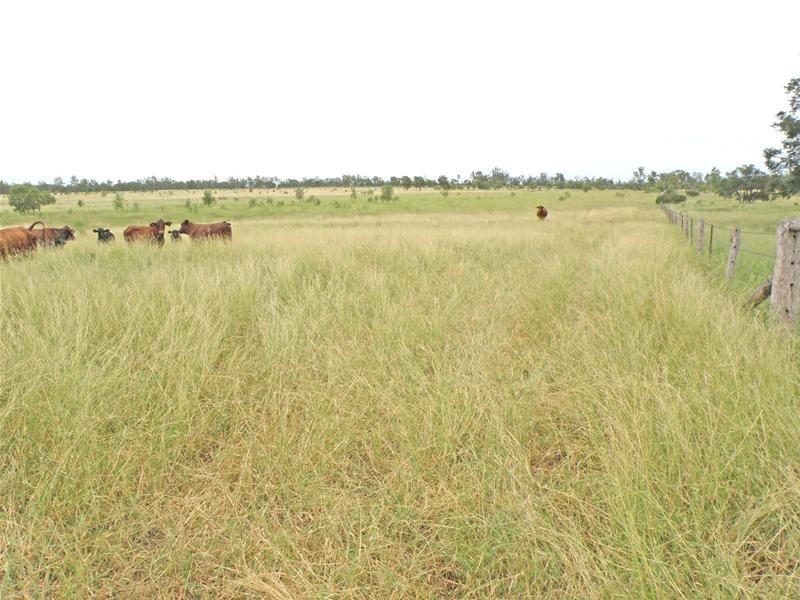 Thangool QLD 4716
