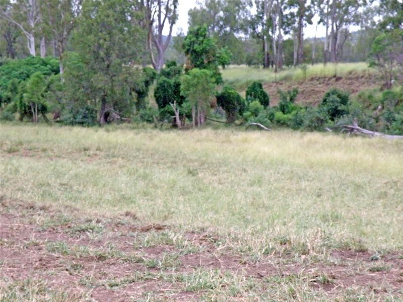 Thangool QLD 4716