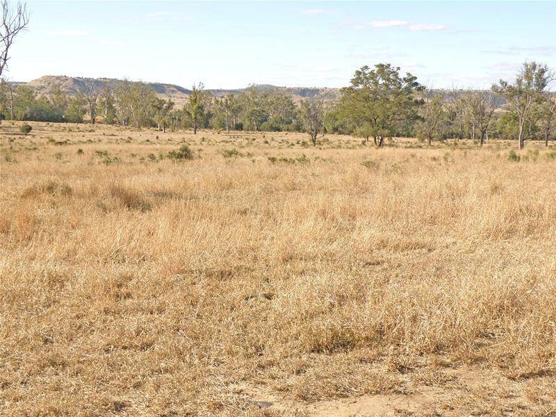 Thangool QLD 4716