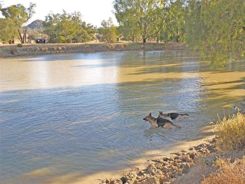 Thangool QLD 4716